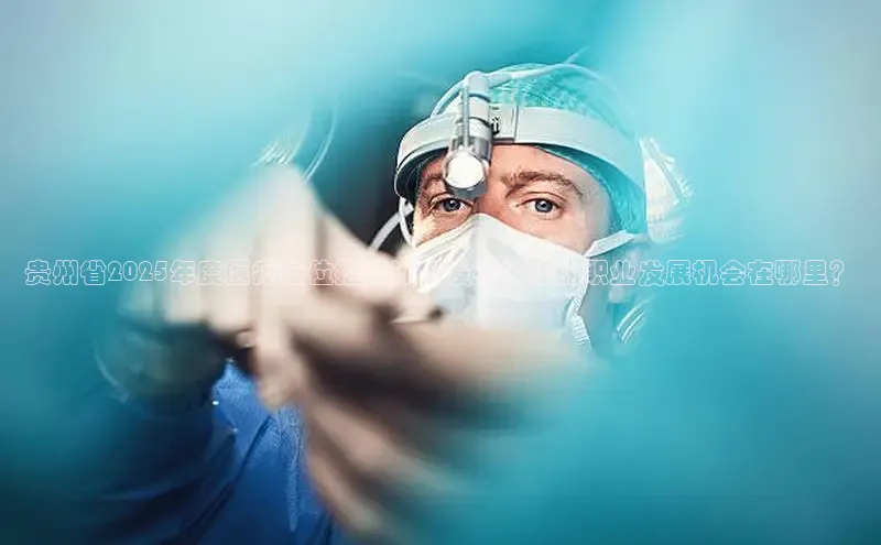 头号玩家平台官网